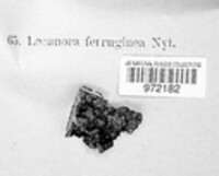 Image Associated With the Occurrence